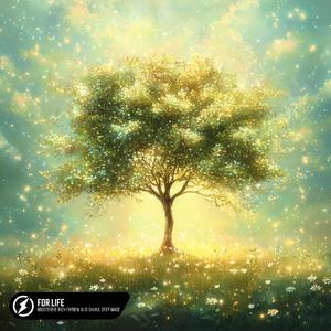 chinese熟女老女人HD
